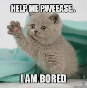 Un chaton gris qui tends sa patte depuis le dessous d'un tissu vert. Le text dit 'Help me pwease... I am bored'
